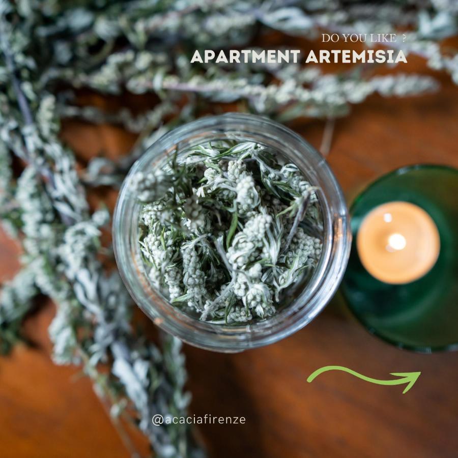 Acacia Firenze Apartments Artemisia-Angelica Buitenkant foto